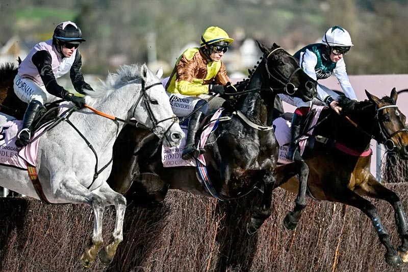 A day at the races